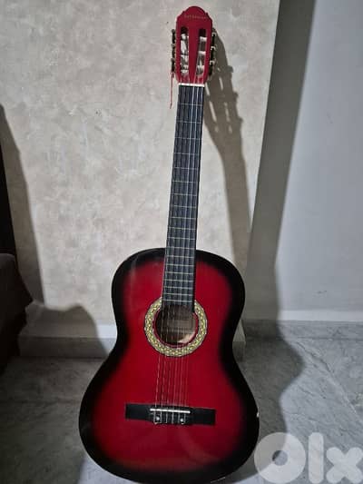 Acoustic Guitar