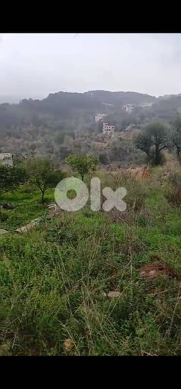 land for sale in Mazeraat yechouh أرض للبيع في مزرعة يشوع
