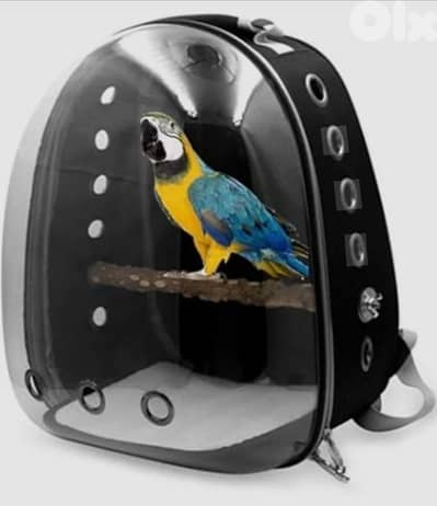 شنطة لنقل الطيور