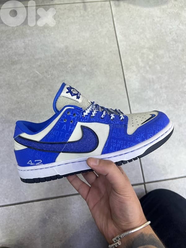 Nike Dunk Low Collection 6