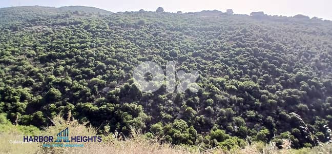 Land for sale in Batroun أرض للبيع في حلتا، البترون