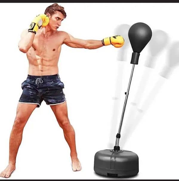 boxing bag Everlast heavy duty 1