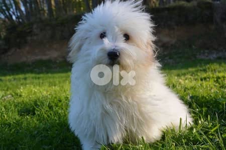 أحلى الأسعار