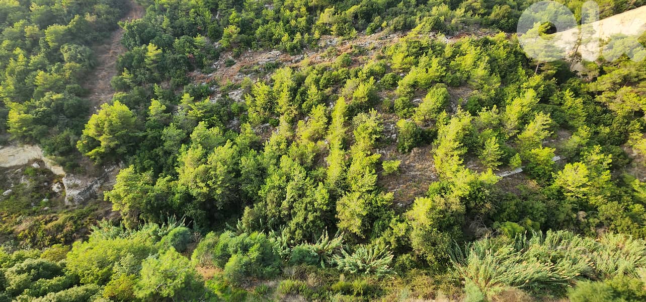 Land for sale in Awkar/ Awesome Seaview 1