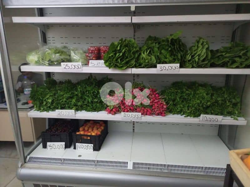 Grocery Stands / System 5