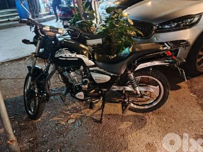 بيروت الدورة