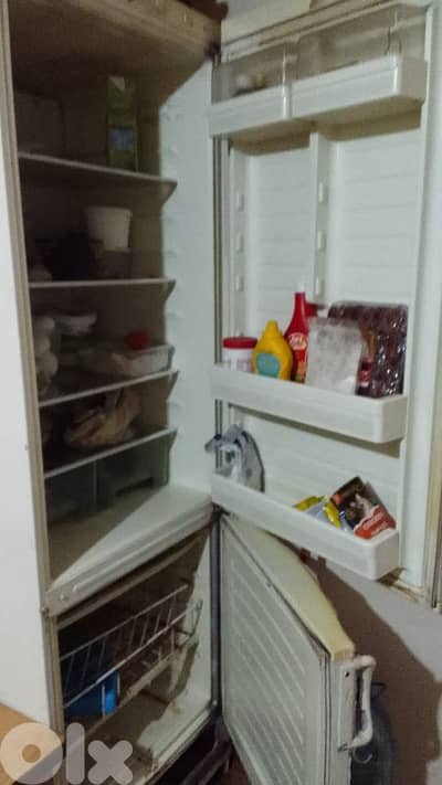 بيروت. عايشة بكار