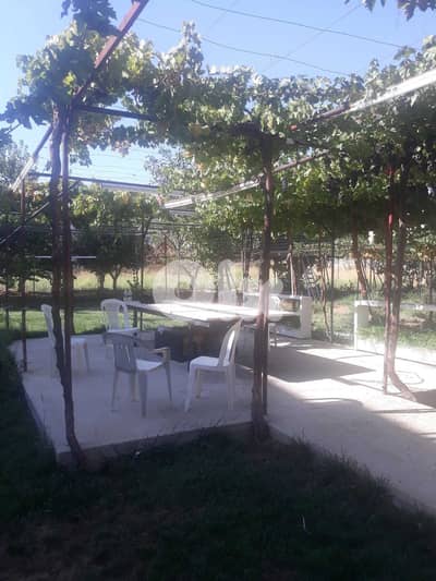 ablah building 4 floors (1 warehouse + 6 apartments) + grapevine land