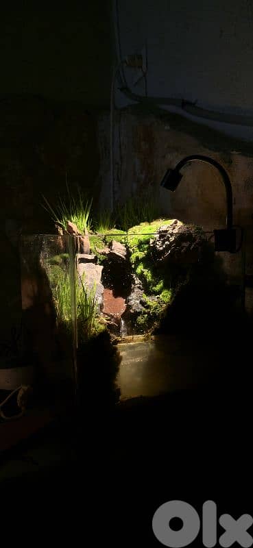 terrarium with a built in waterfall for sale 1