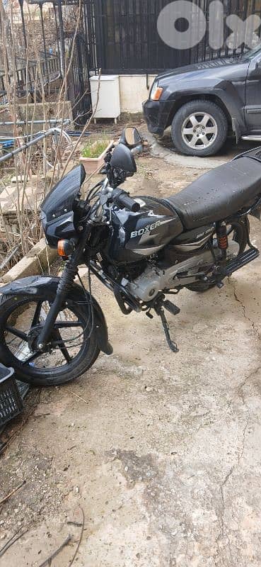 Bajaj boxer for sale 3