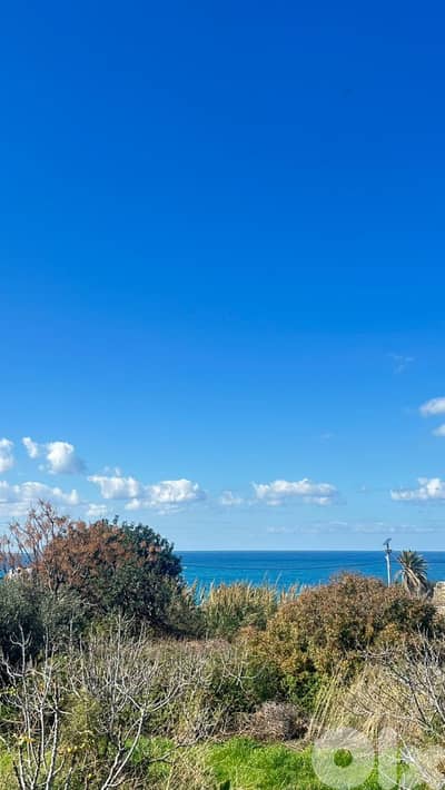 Land for sale in Thoum, Batroun أرض للبيع في تحوم، البترون