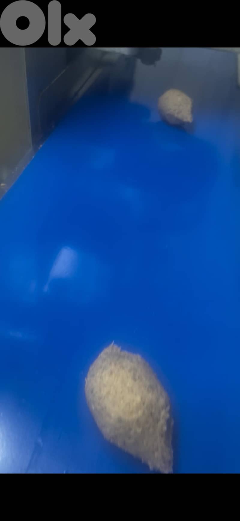 High-Speed Kibbeh & Maamoul Machine – 60 pcs/min – Barely Used 1