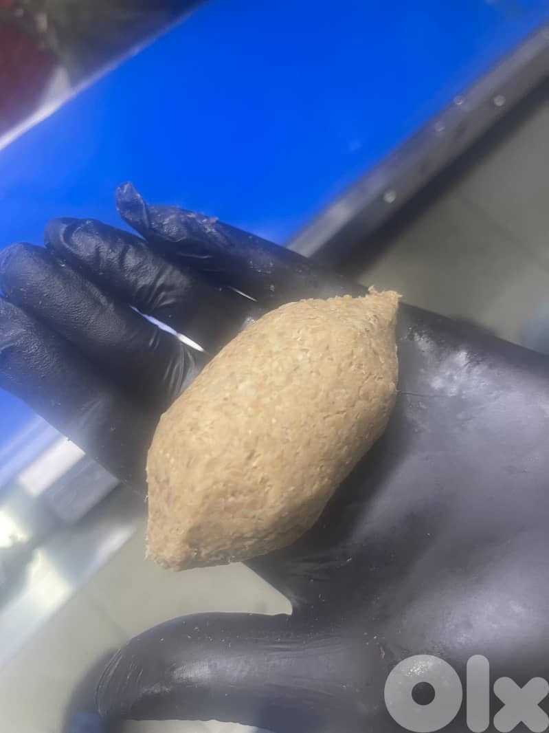 High-Speed Kibbeh & Maamoul Machine – 60 pcs/min – Barely Used 3