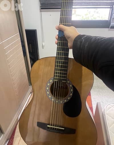 rogue acoustic guitar