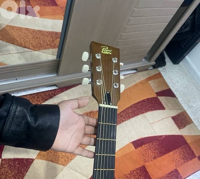 rogue acoustic guitar 2