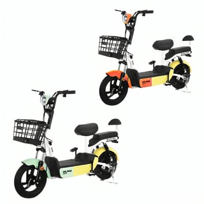 Portable Electric Bike 48V 20AH - دراجة كهربائية محمولة ٤٨ فولت