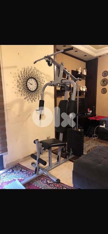 bodybuilding machine