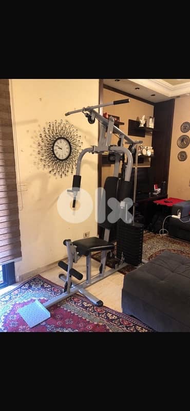 bodybuilding machine 2