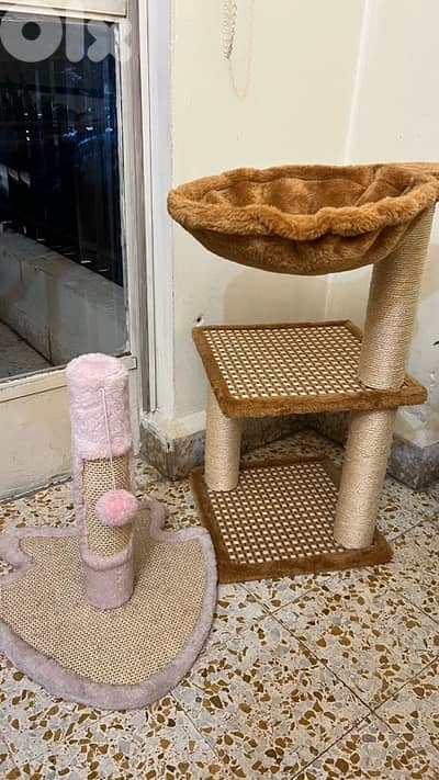 Cat Scratchers