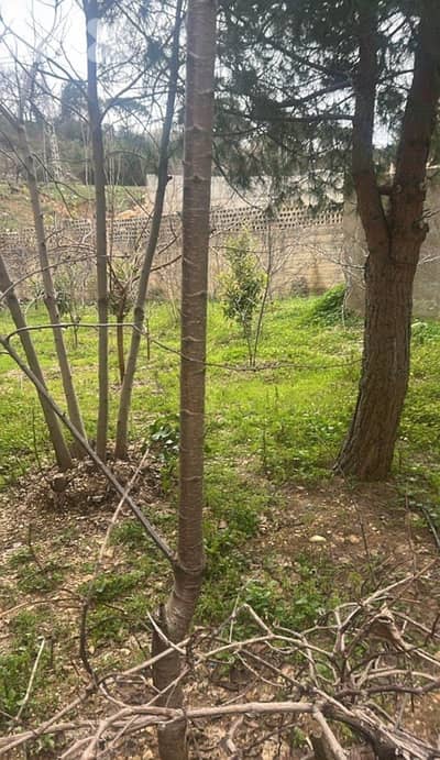 2Floors 600m Villa on 1150m land Upper Aley Kettaneh area