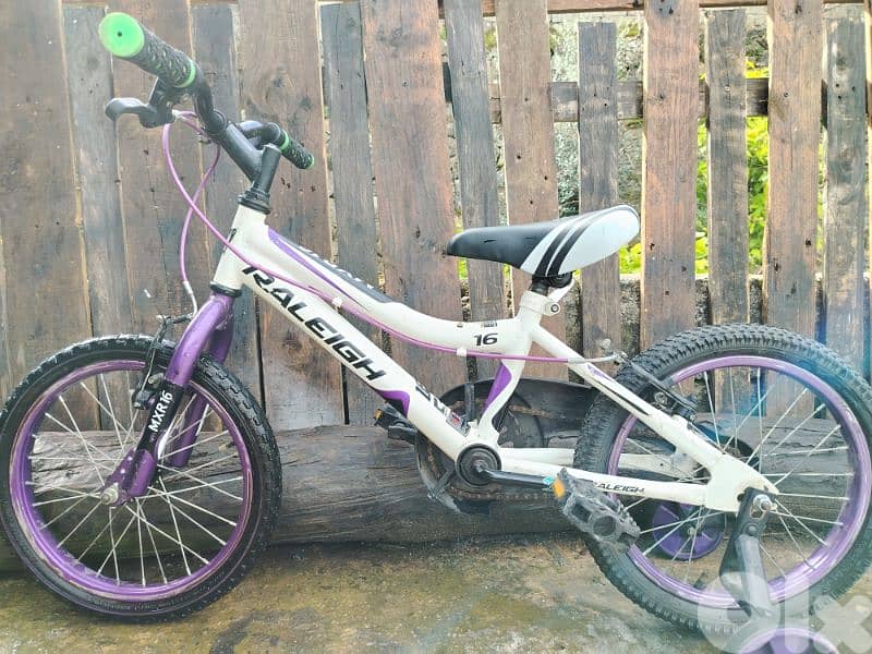 Raleigh 16 1