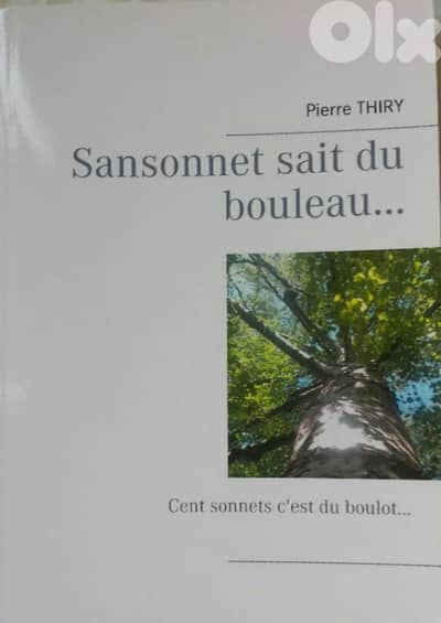 Sansonnet sait du bouleau