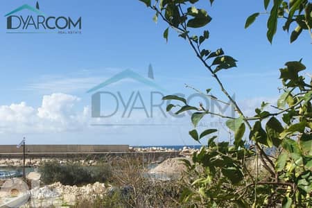 DY3233 - Okaibeh Land by the Sea for Sale!