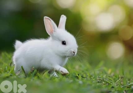 أحلى الأسعار