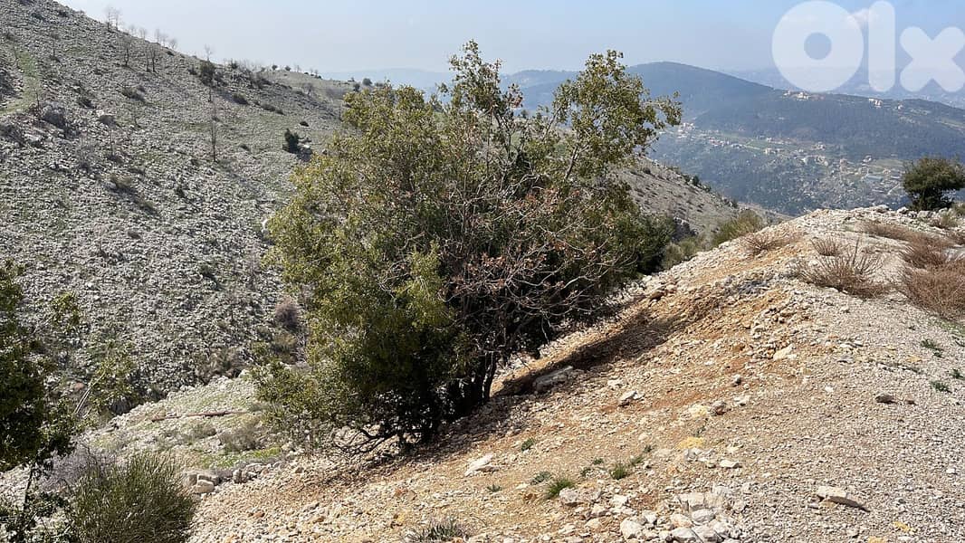 Land for Sale in Zaarour 3