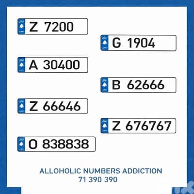 special plate numbers