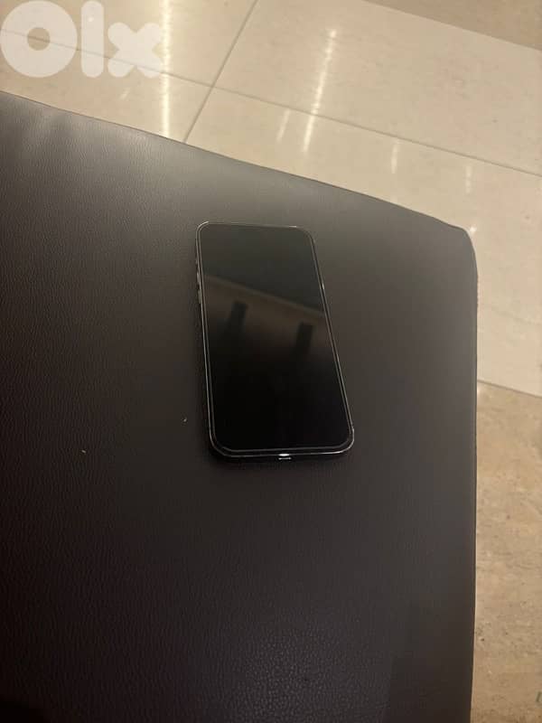 14 pro max 1 terra 1