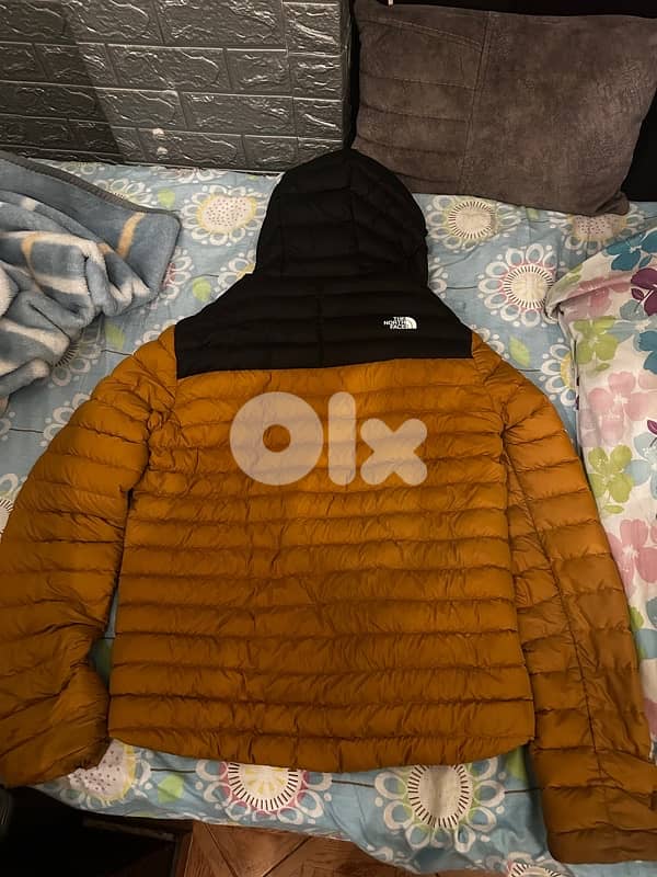 The North face puffer jacket 2