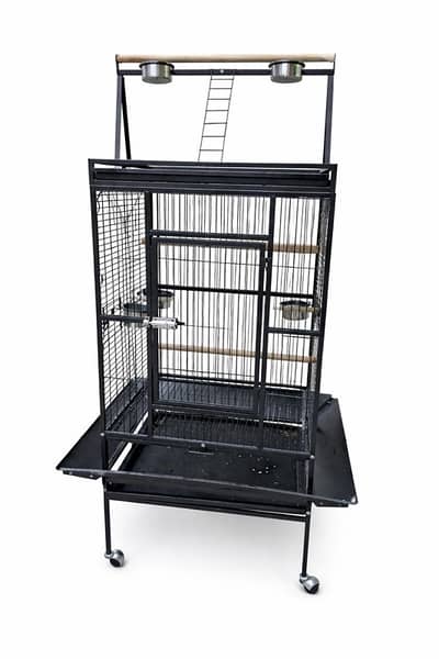 بربور بيروت