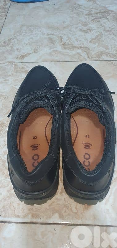 ecco shoe حذاء ايكو رجالي 5