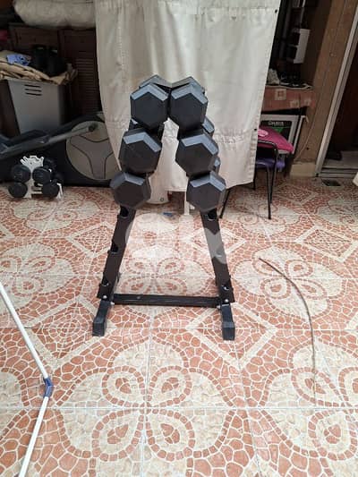 dumbbells and weight rack