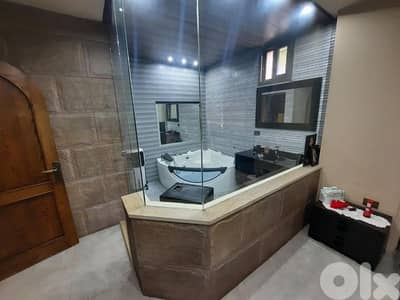 furnished or unfurnished apartments