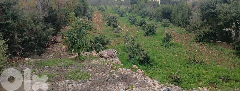 Land for sale in Hamat – Batroun أرض للبيع في حامات - البترون