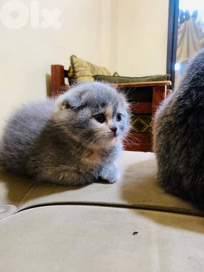 أحلى الأسعار