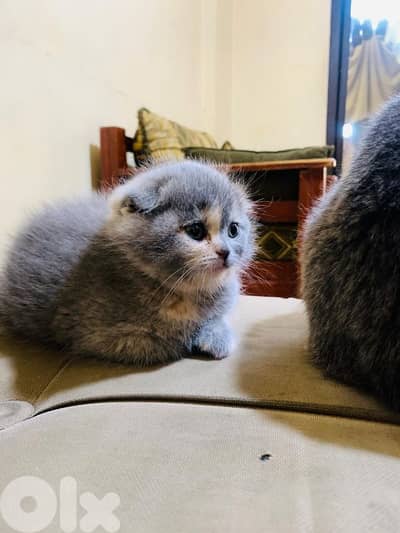 أحلى الأسعار