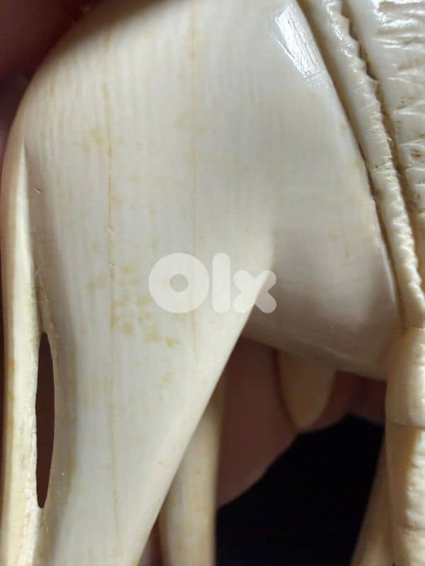 Very old 90 years old at least! 18