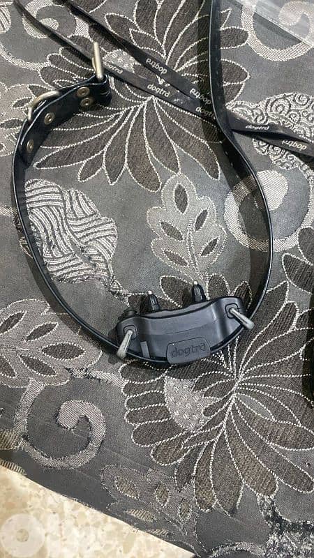 E-Collar for dogs 2