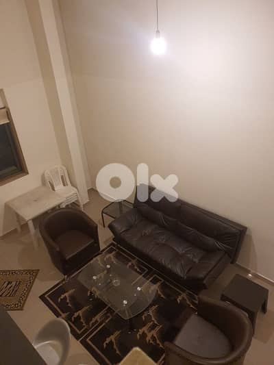 Luxurious Fully Furnished Apartments