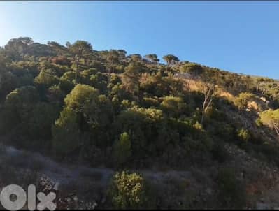 Land for Sale in Baabdat