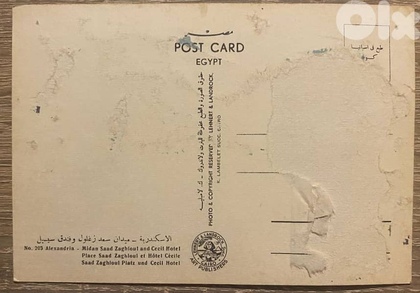 Vintage Postcard: Alexandria Egypt 1