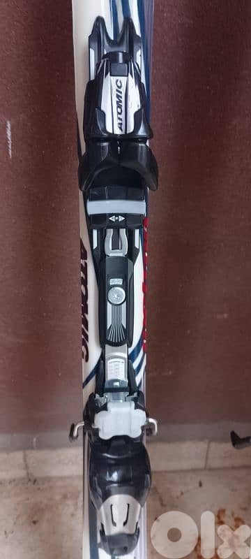 Atomic metron magnesium with poles 1