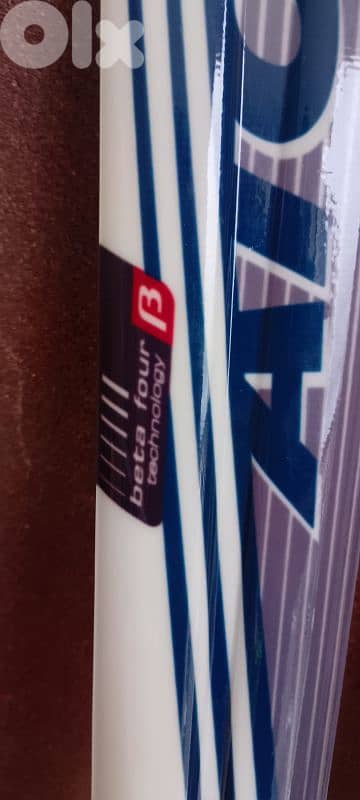 Atomic metron magnesium with poles 4