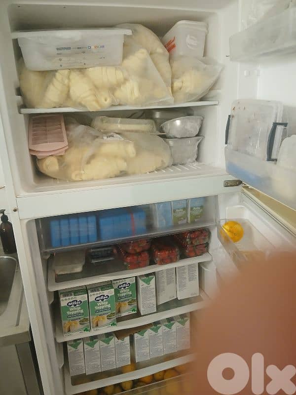 fridge 1
