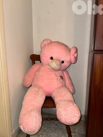 Pink Teddy Bear