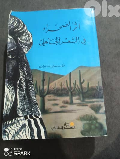 اثر الصحراء في الشعر الجاهلي