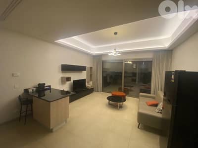 fully furnished one bedroom with private terrace for rent waterfront